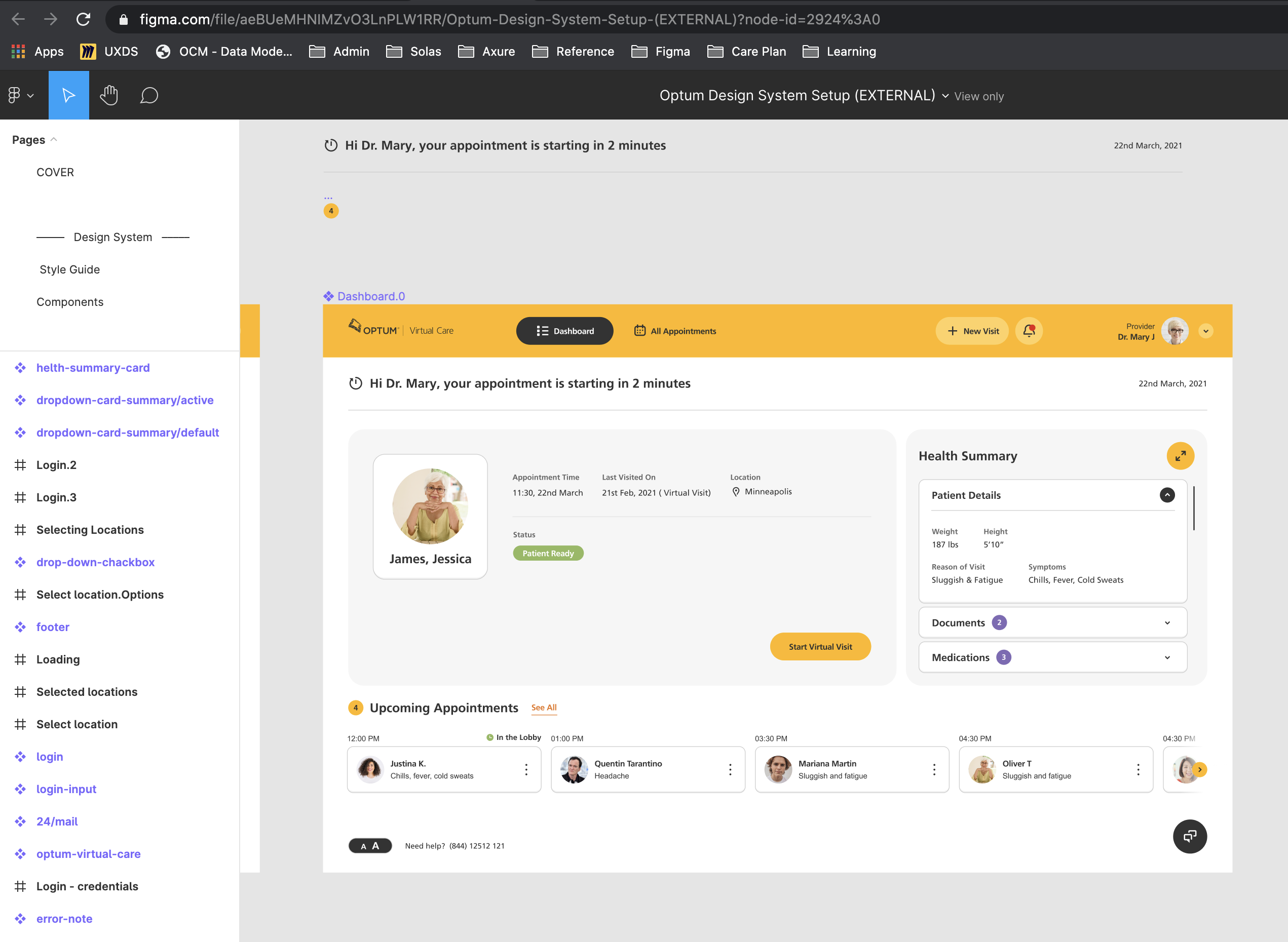 Care Plan dashboard showing provider view with upcoming appointment, patient health summary, documents, medications, and appointment timeline